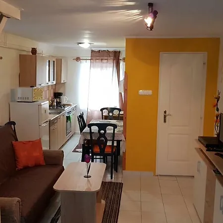 Aviator Apartman 아파트